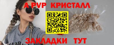 СК Бийск