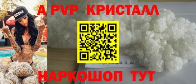 СК Бийск